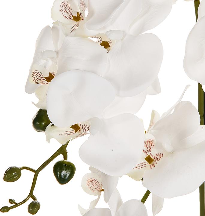 Immagine prodotto Beliani Orchidea (63 cm)