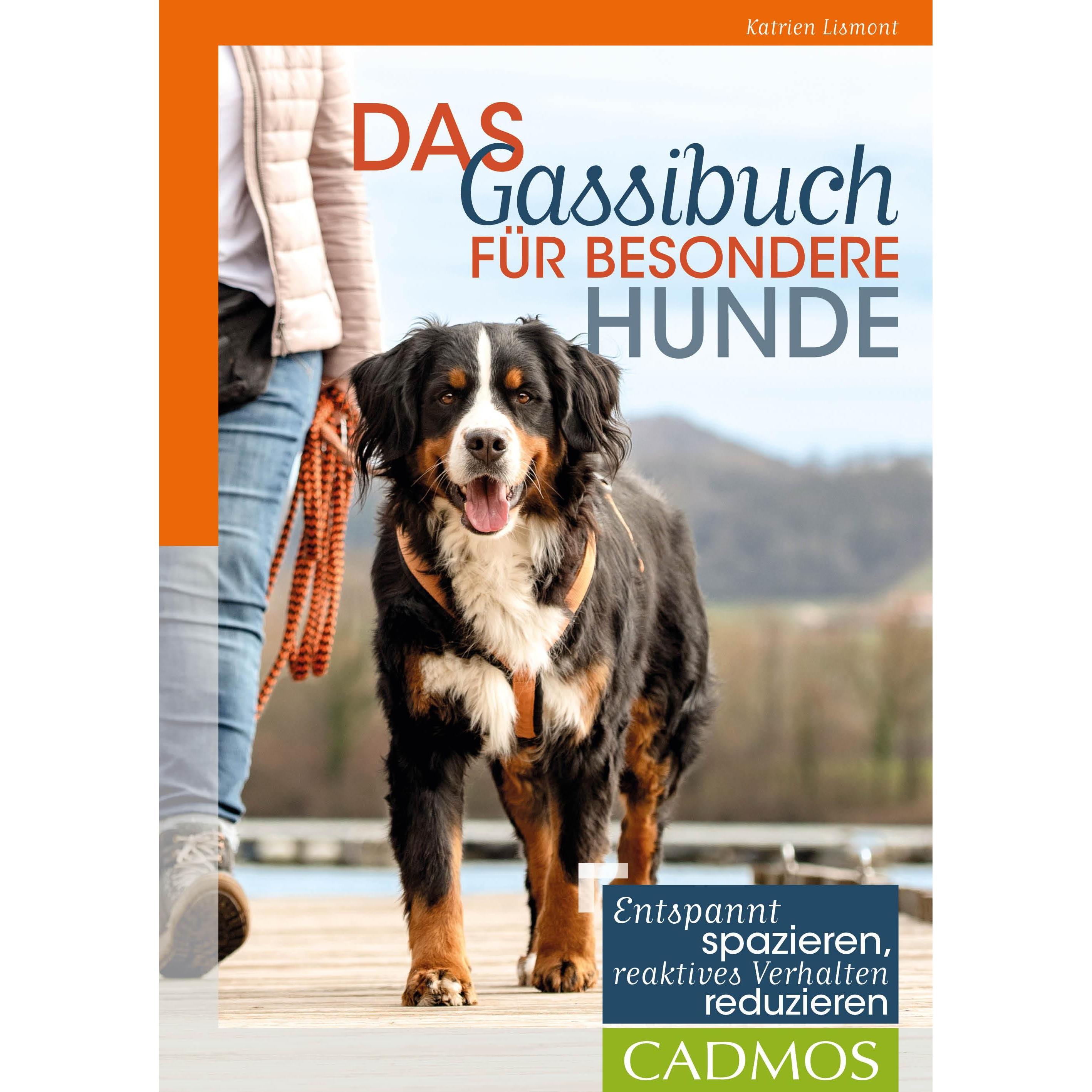 Das Gassibuch für besondere Hunde, Ratgeber von Katrien Lismont