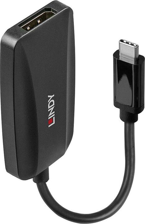Lindy USB Type C to DisplayPort Converter Connects an 8K