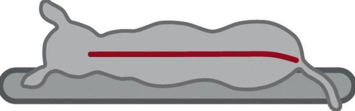 Produktbild Trixie Vital Liegematte Bendson (Hund)