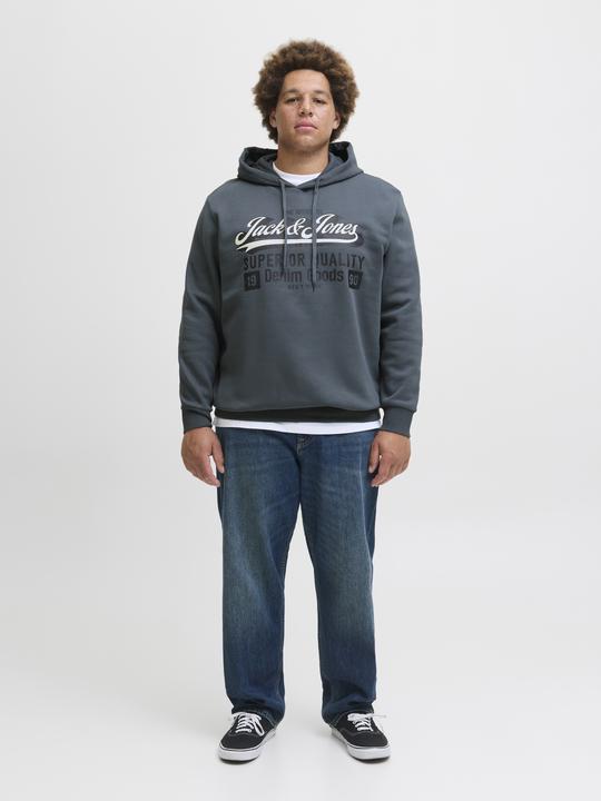 Actual product image Jack & Jones JJELOGO SWEAT HOOD 2 COL 24/25 NOOS PLS (4XL)