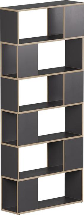 Actual product image Vicco Raumteiler Eneos, Anthrazit/Eiche, 80 x 186 cm