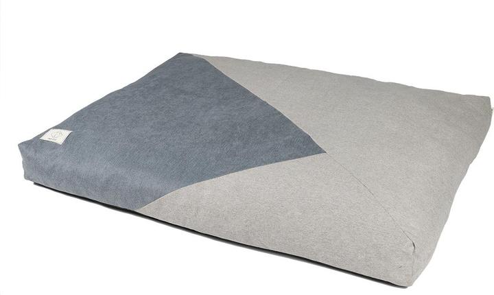 EBI D&D Home Steve S (Hund)