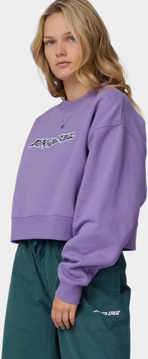 Image du produit Santa Cruz Kelp Strip Crew (M)