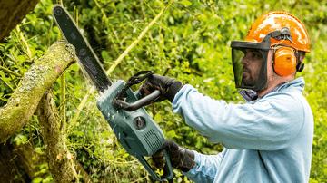 Actual product image Bosch Home & Garden UniversalChain 40 electric chain saw (Electric chain saw)