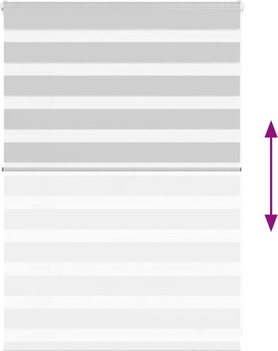 Produktbild vidaXL Zebra-Jalousie (95 x 100 cm)