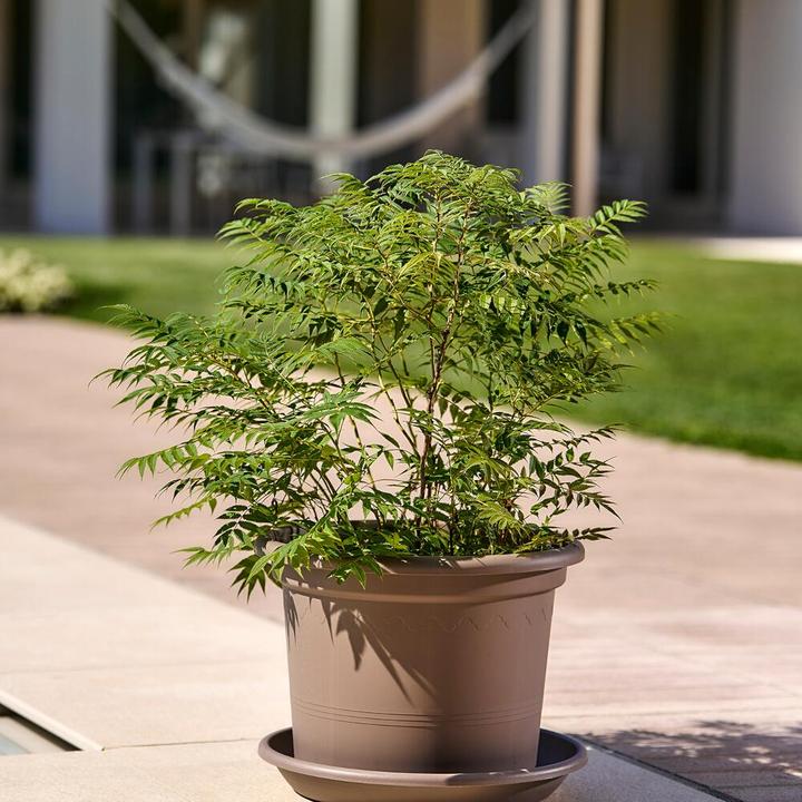 Image du produit Euro3plast Géo (20 cm)