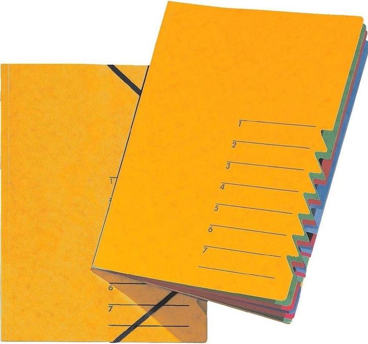 Produktbild Pagna Ordnungsmappe EASY (A4, 1x)