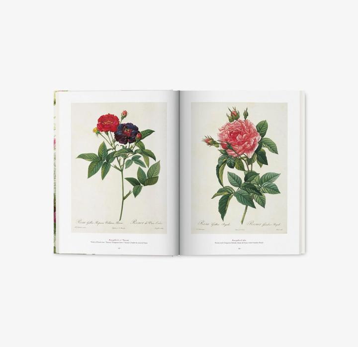 Produktbild Redouté. The Book of Flowers (Deutsch, H. Walter Lack, 2017)