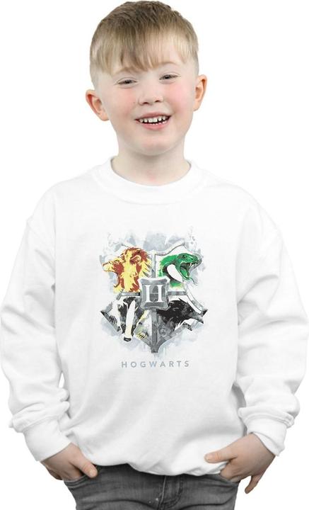 Actual product image Boys Hogwarts Painted Crest Sweatshirt (128)