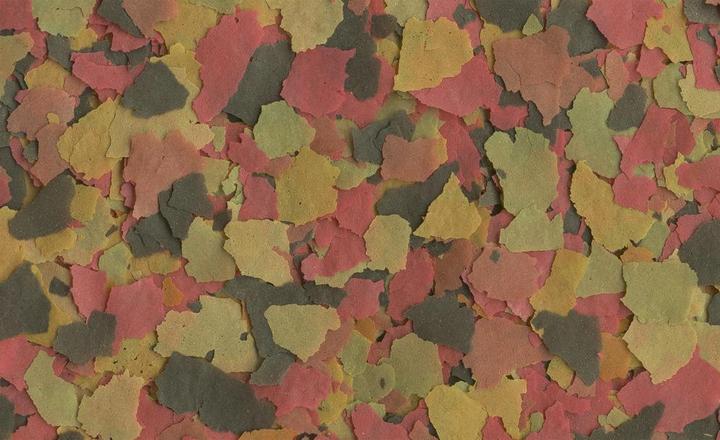 Actual product image Tetramin XL Flakes feed for large ornamental fish 10L (10000 ml)