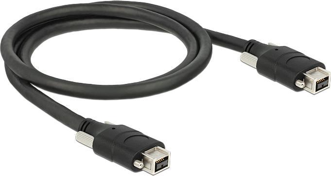 Image du produit Delock Câble FireWire IEEE 1394B 9 broches/9 broches, 1 mètre (1 m, FireWire)