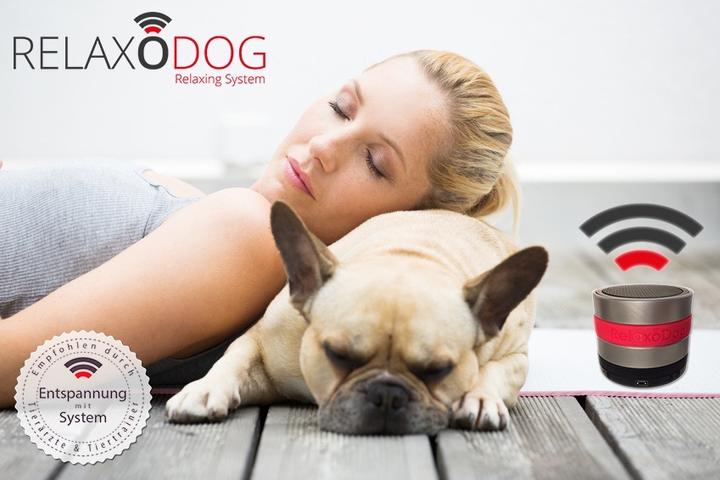Image du produit RelaxoPet RelaxoDog Smart (Chien)