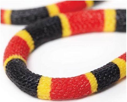 Image du produit Safari Bébé serpent corail