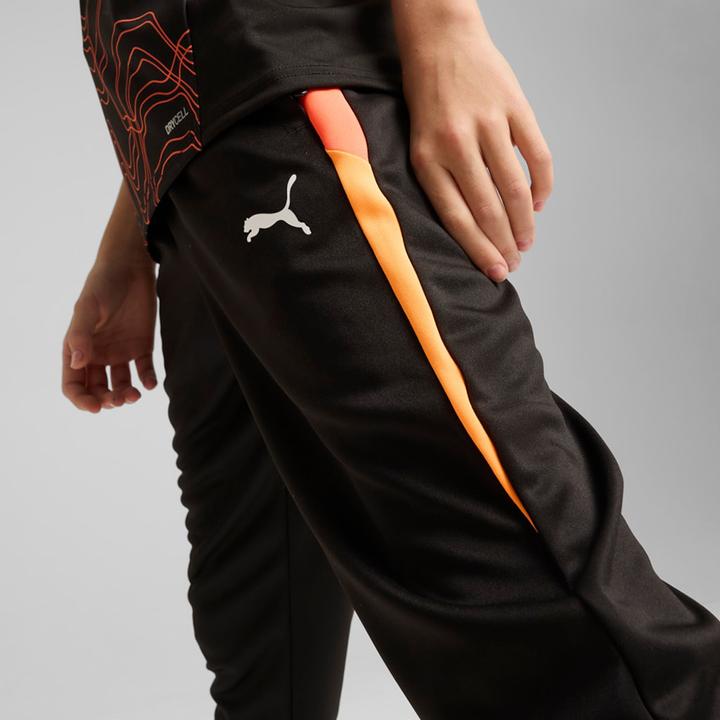 Actual product image Puma IndividualLIGA Training Pants Jr (176)