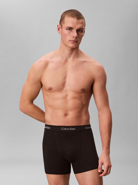 Actual product image Calvin Klein Trunk (L, pack of 3)