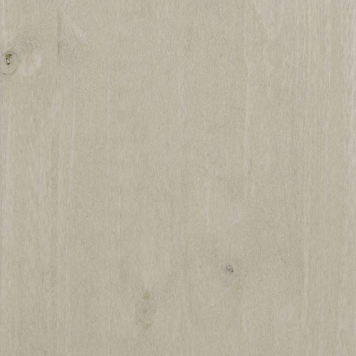 Image du produit vidaXL Couchtisch (100 x 55 x 35 cm)