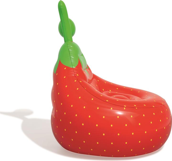 Actual product image Bestway 75066