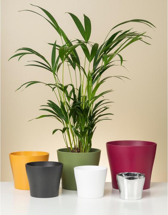 Actual product image Scheurich Flowerpot (19 cm)