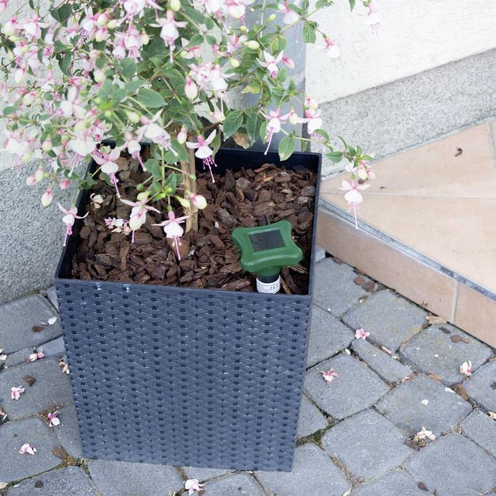 Produktbild Gardigo 70030INT Solar Insektenvertreiber (Ø x H) 7.5 cm x 27.5 cm Grün, Silbe