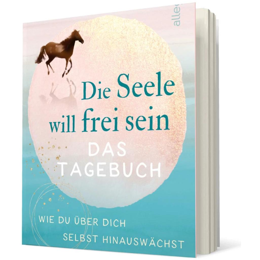 Die Seele will frei sein – Das Tagebuch, Ratgeber von Michael A. Singer
