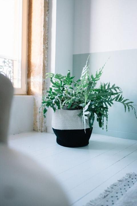 Immagine prodotto Lorena Canals Zoco