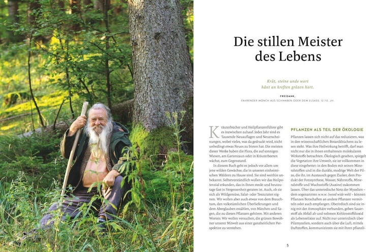 Actual product image Meine Kräuter des Waldes (German, Wolf-Dieter Storl, 2022)