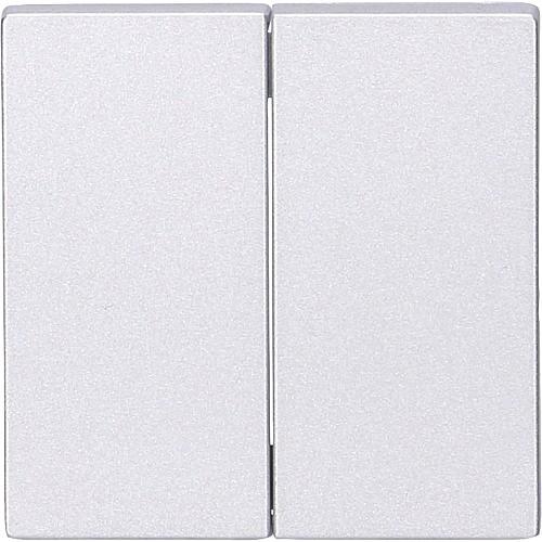 Actual product image EGB Barrow standard rocker 2-fold silver