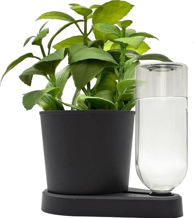 Produktbild Greevi Kräuterheld (10.50 x 21 cm)