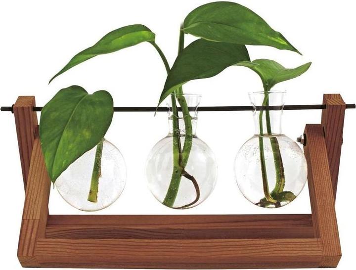 Immagine prodotto Winkee Hydro Vases Blossom - Vaso (1 x)