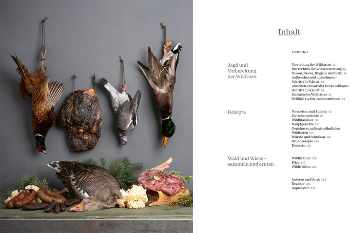 Produktbild Wild (Deutsch, Florian Bolk, Benjamin Haverkamp, Wolfgang Müller, 2025)