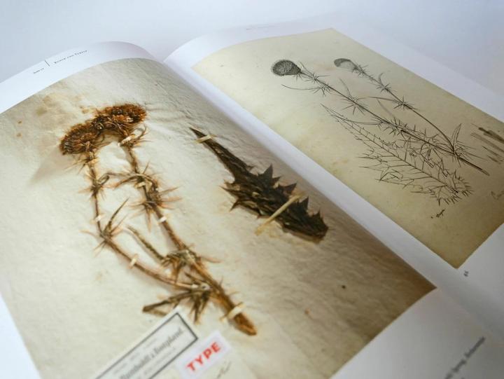 Produktbild Alexander von Humboldt und die botanische Erforschung Amerikas (Deutsch, H. Walter Lack, 2018)