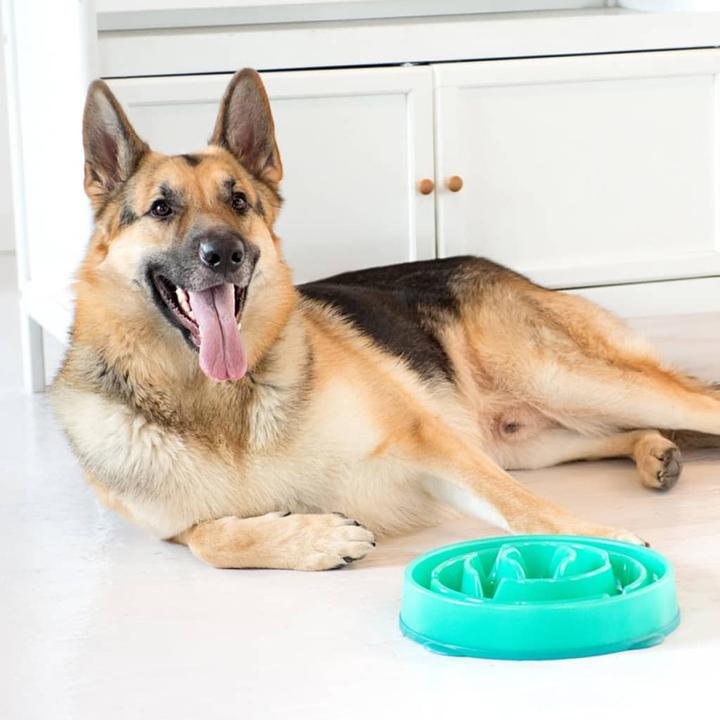 Actual product image Outward Hound Fun Feeder