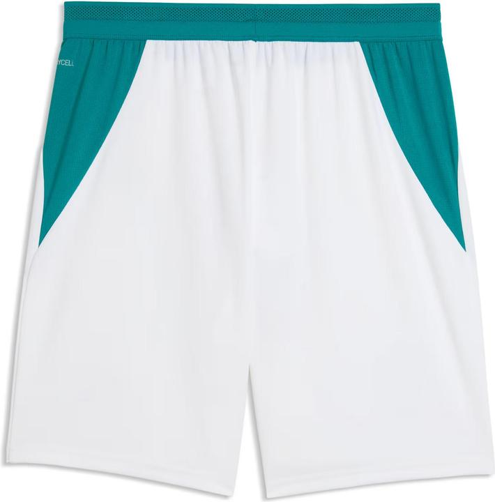 Image du produit Puma FPF Shorts Replica (XL)