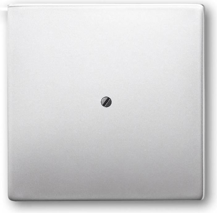 Actual product image Busch-Jaeger Central disc 2CKA001710A3766