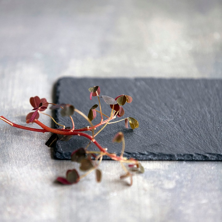 Produktbild Nicolas Vahé Schieferplatte, Slate Plate
