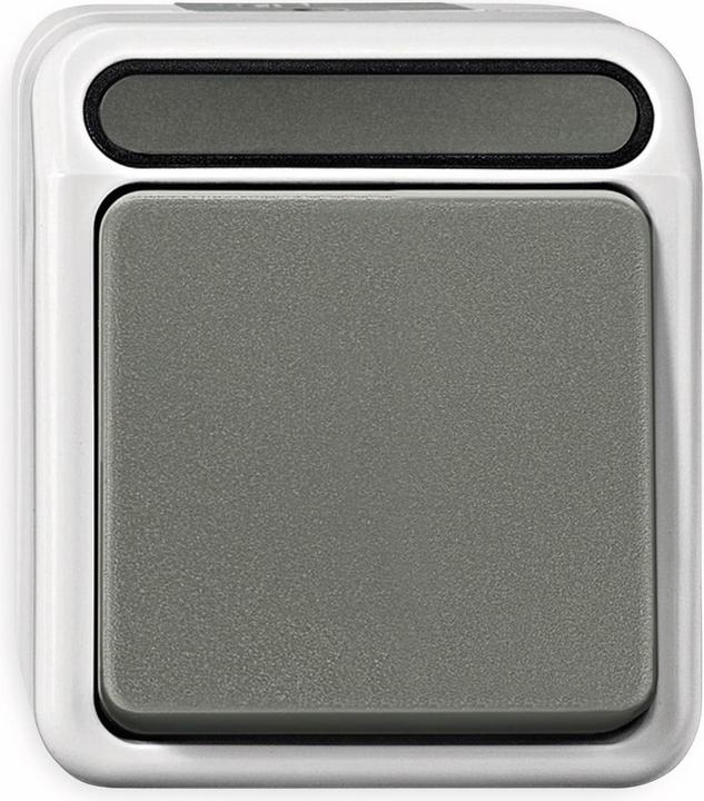 Actual product image Merten Cross switch