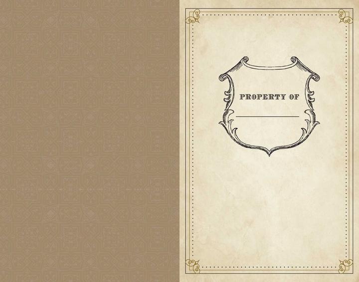 Image du produit Harry Potter : Hogwarts Ruled Notebook (Éditions Insight, Anglais)