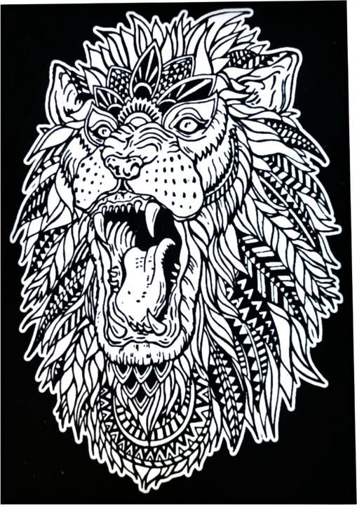 Image du produit ColorVelvet Coloriage lion
