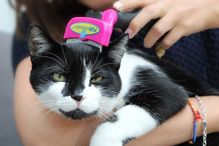 Produktbild FURminator Furflex (Katze, 0.17 ml)