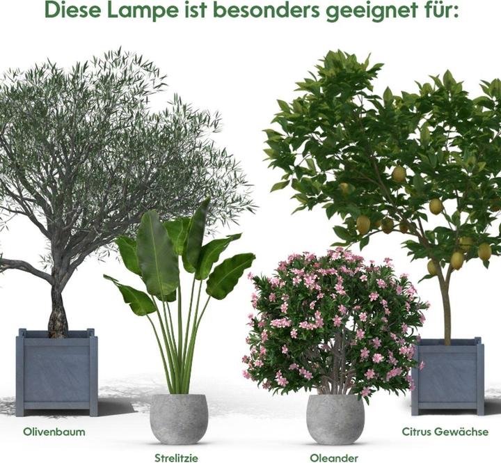 Produktbild Venso Grow Light Winter (LED)