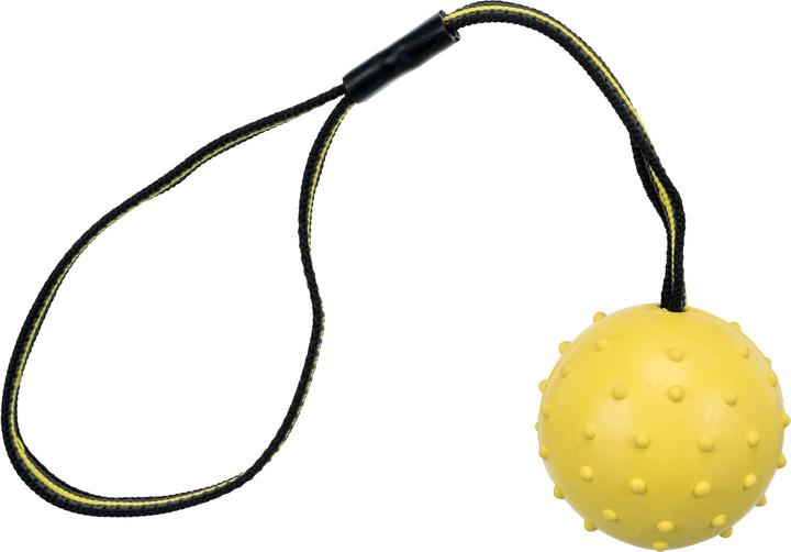 Produktbild Trixie Sporting Ball am Gurt 35cm ø 6cm (Ballspielzeug Hund)