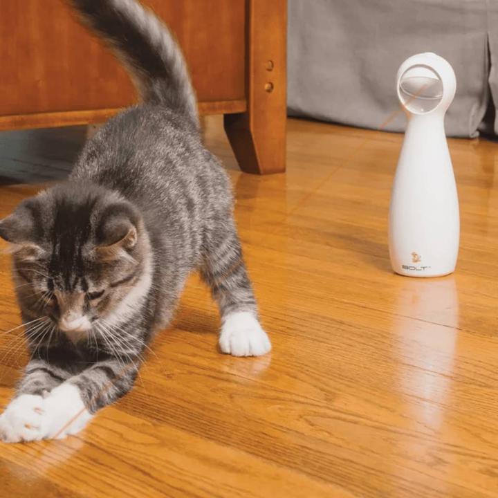 Produktbild PetSafe Bolt (Katzenminzespielzeug)
