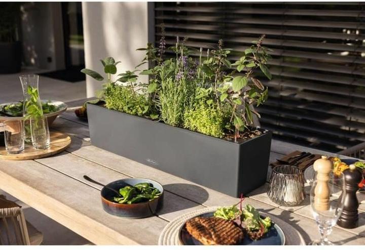 Productafbeelding Lechuza Balconera Kleur (79 x 19 x 19 cm)