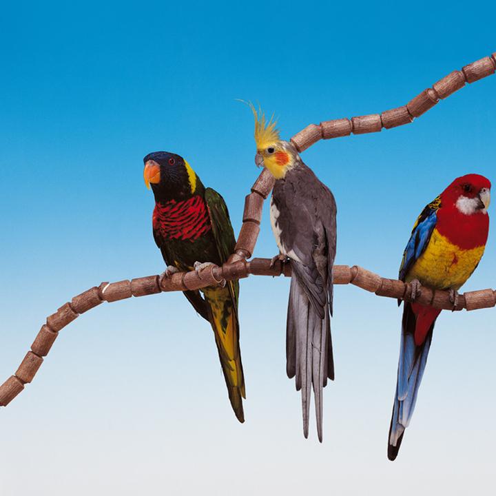 Immagine prodotto Ferplast Flex 4192