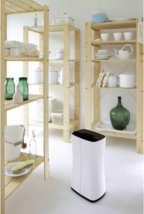 Produktbild Stadler Form Theo (40 m², 10 l/24h)