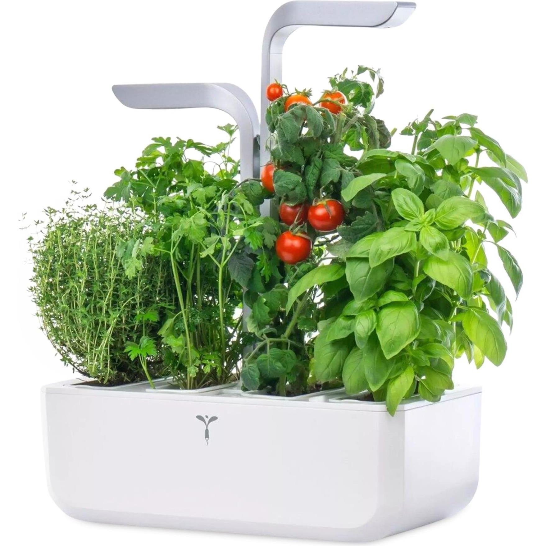 Véritable, Vaso da Fiori Smart (18,50 cm)