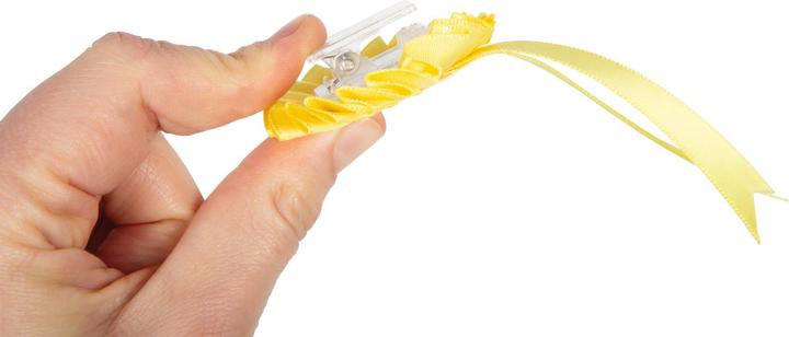 Actual product image small foot Pferdepflegeset mit Tasche rot