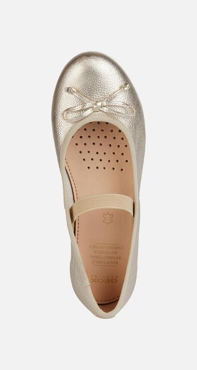 Produktbild Geox Ballerinas (36)