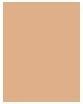 Produktbild MAC Cosmetics M.A.C. Studio Rad Serum Pow Fond de Teint NW15 (NW15)